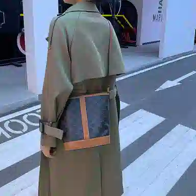 GUYI CELINE Triomphe