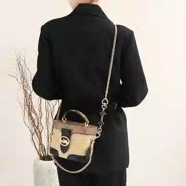 GUYI COACHGeorgie 20