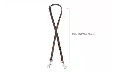 GUYI COACHDempsey1415mini