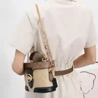 GUYI COACHGeorgie 20