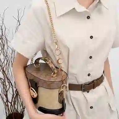 GUYI COACHGeorgie 20