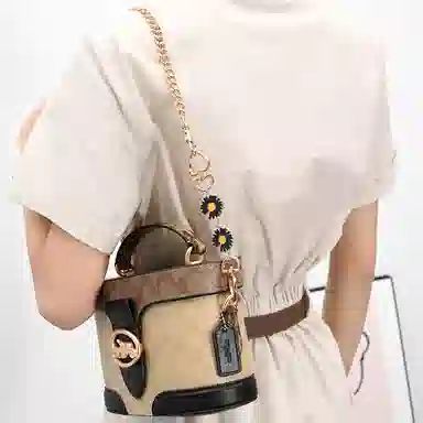 GUYI COACHGeorgie 20