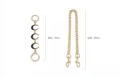 GUYI COACHGeorgie 20