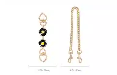 GUYI COACHGeorgie 20