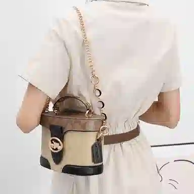 GUYI COACHGeorgie 20