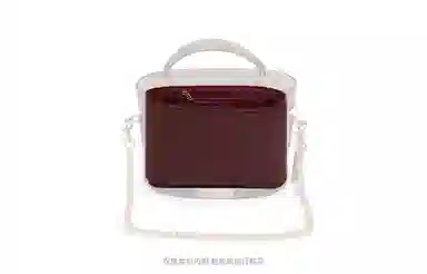 GUYI COACHGeorgie 20