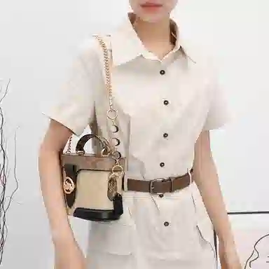 GUYI COACHGeorgie 20