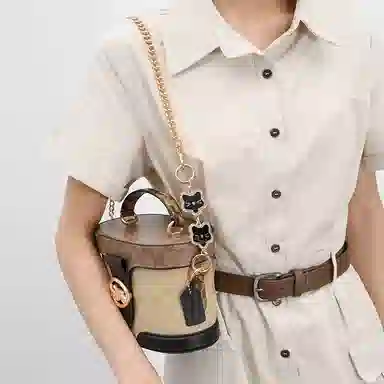 GUYI COACHGeorgie 20