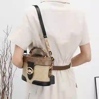 GUYI COACHGeorgie 20