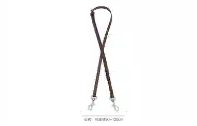 GUYI COACHDempsey1415mini
