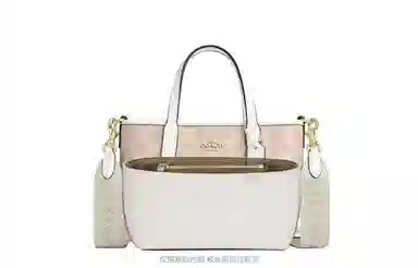 GUYI COACH city15 Totemini