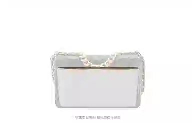 GUYI CHANEL19bag