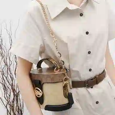 GUYI COACHGeorgie 20