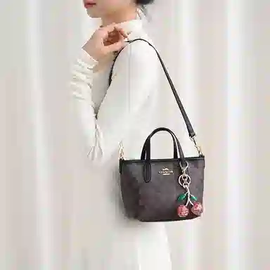 GUYI COACH city15 Totemini