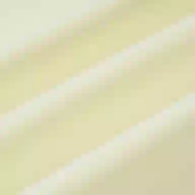 KSWISS WEISS T 707-K41M-LYL1