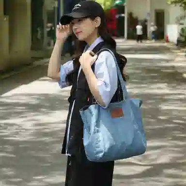 醇龙 简约百搭时尚 帆布 帆布包单肩包 女款 白/浅蓝