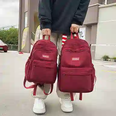 醇龙 日系校园简约百搭高中学生初中生上课大书包 尼龙 双肩包 大号 男女同款情侣款 多色