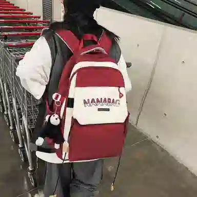 醇龙  尼龙男女通用多色双肩包简约耐脏撞色学生大容量耐磨旅行包