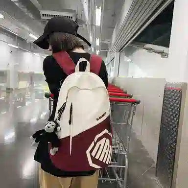 醇龙 简约大容量时尚百搭通勤学生 尼龙 双肩包 常规 男女同款情侣款 多色