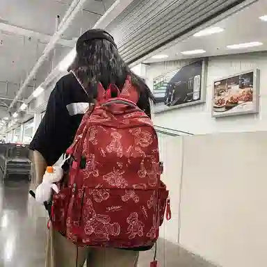 醇龙  尼龙男女通用多色大容量双肩包