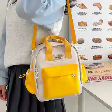 醇龙 小型韩系轻便百搭出游多用小众外出休闲 手提包单肩斜挎包 尼龙 双肩包 女款 多色