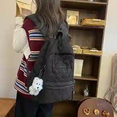 醇龙 设计感百搭简约学生 涤纶（聚酯纤维） 书包背包双肩包 女款 多色