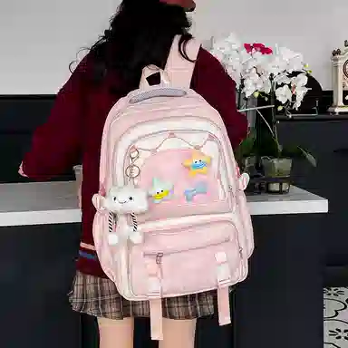 醇龙 可爱高中生初中生学生女大学生休闲旅游轻便电脑背包 帆布 双肩包 常规 女款 多色