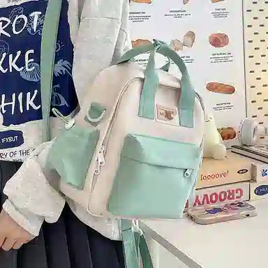 醇龙 小型韩系轻便百搭出游多用小众外出休闲 手提包单肩斜挎包 尼龙 双肩包 女款 多色