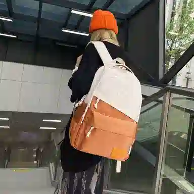 醇龙 休闲大容量耐磨 男女通用 双肩包 尼龙拼网 多色