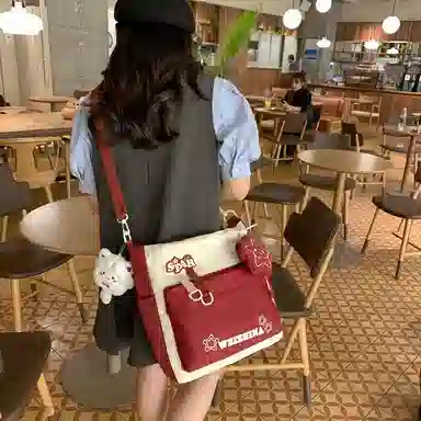 醇龙 学生补习上课大容量 单肩包斜挎包 尼龙 男女通用 多色