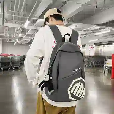 醇龙 简约大容量时尚百搭通勤学生 尼龙 双肩包 常规 男女同款情侣款 多色