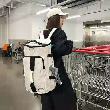 醇龙 手提包多用单肩斜挎包轻便短途旅行包尼龙大容量双肩包 男女通用 多色