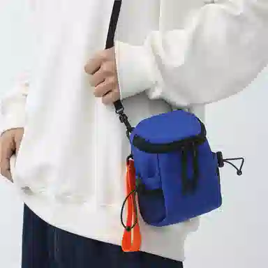 ins