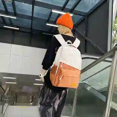 醇龙 休闲大容量耐磨 男女通用 双肩包 尼龙拼网 多色