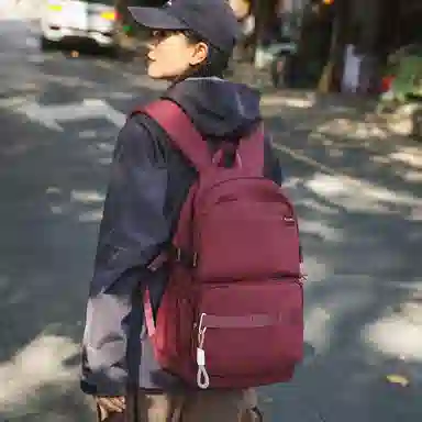 醇龙 时尚简约旅行收纳初高中大学生休闲书包 尼龙 双肩包 常规 男女同款情侣款 多色