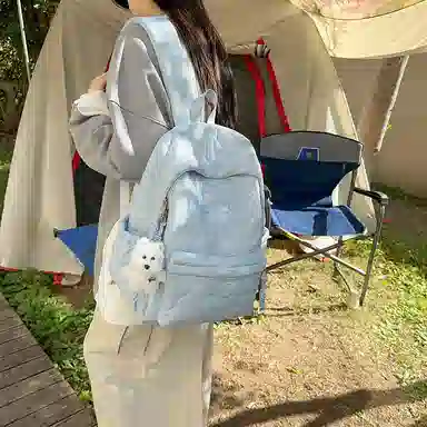 醇龙 设计感百搭简约学生 涤纶（聚酯纤维） 书包背包双肩包 女款 多色