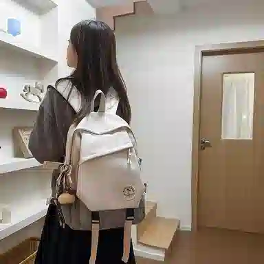 醇龙 大容量电脑包旅行包背包初中生高中生大学生书包通勤 尼龙 双肩包 男女同款情侣款 多色