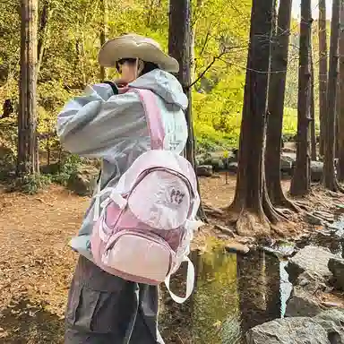醇龙 港风运动休闲百搭书包轻便学生大容量登山超轻旅游背包 尼龙 双肩包 女款 多色