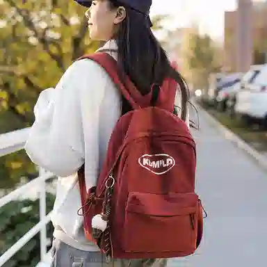 醇龙 复古轻便时尚简约百搭 尼龙 双肩包 女款 多色