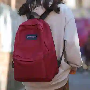 醇龙  男女通用多色尼龙书包学生简约百搭双肩包包潮学院风旅行背包