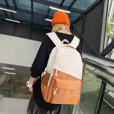 醇龙 休闲大容量耐磨 男女通用 双肩包 尼龙拼网 多色