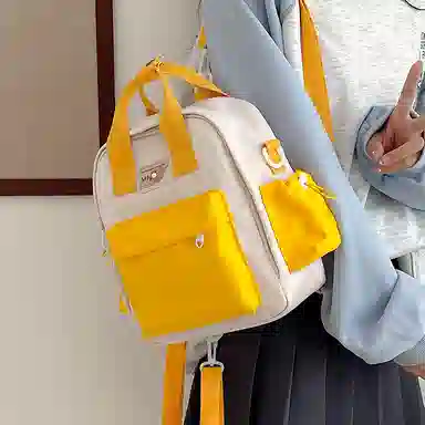 醇龙 小型韩系轻便百搭出游多用小众外出休闲 手提包单肩斜挎包 尼龙 双肩包 女款 多色