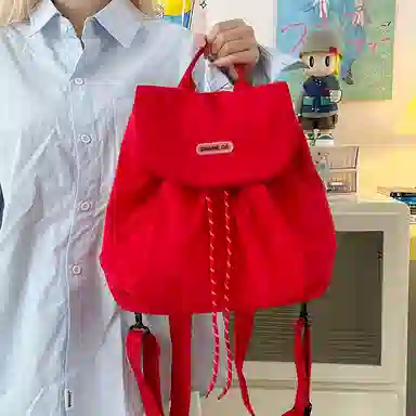 醇龙 时尚小众简约轻便 尼龙 双肩包 常规 女款 多色