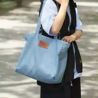 醇龙 简约百搭时尚 帆布 帆布包单肩包 女款 白/浅蓝