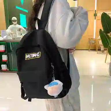 醇龙 高颜值书包小众大容量大学生初中高中韩系可爱简约背包 尼龙 双肩包 女款 多色