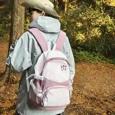 醇龙 港风运动休闲百搭书包轻便学生大容量登山超轻旅游背包 尼龙 双肩包 女款 多色