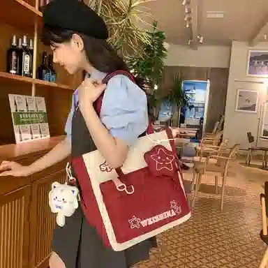 醇龙 学生补习上课大容量 单肩包斜挎包 尼龙 男女通用 多色