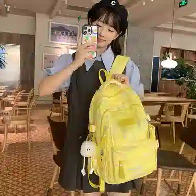 醇龙 尼龙 男女通用 多色 百搭轻便大容量 单肩包双肩包