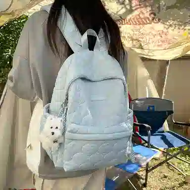 醇龙 设计感百搭简约学生 涤纶（聚酯纤维） 书包背包双肩包 女款 多色