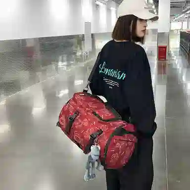 醇龙 手提包多用单肩斜挎包轻便短途旅行包尼龙大容量双肩包 男女通用 多色